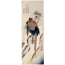 Utagawa Hiroshige: Pheasant in Snow with Pine - Honolulu Museum of Art