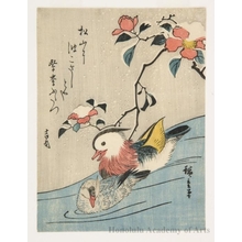 歌川広重: Mandarin Ducks and Camellias in the Snow (Descriptive Title) - ホノルル美術館