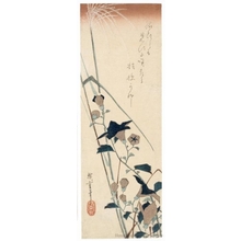 Utagawa Hiroshige: Chinese Bellflowers and Miscanthus - Honolulu Museum of Art