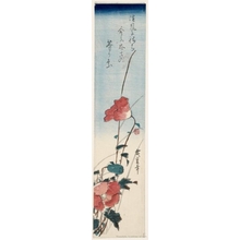 Utagawa Hiroshige: Poppies - Honolulu Museum of Art