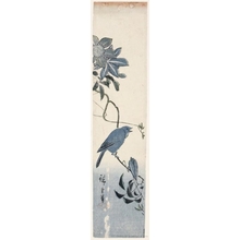 Utagawa Hiroshige: Small Blue Bird on Clematis - Honolulu Museum of Art