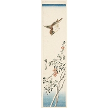 Utagawa Hiroshige: Sparrow and Nandina in Snow - Honolulu Museum of Art