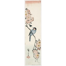 Utagawa Hiroshige: Java Sparrow and Double Cherry Blossoms - Honolulu Museum of Art