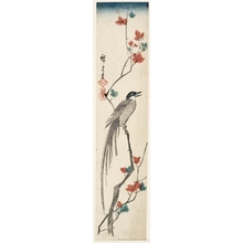 Utagawa Hiroshige: Magpie and Maple Leaves - Honolulu Museum of Art