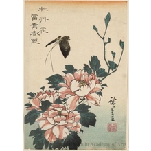 Utagawa Hiroshige: Butterfly and Peony - Honolulu Museum of Art