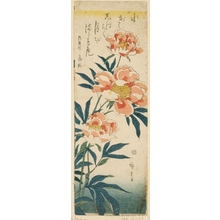 Utagawa Hiroshige: Peonies - Honolulu Museum of Art