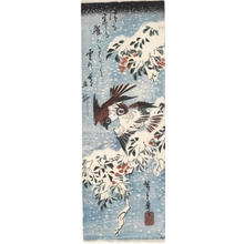 Utagawa Hiroshige: Sparrows on a Snow-Covered Nandina Branch - Honolulu Museum of Art