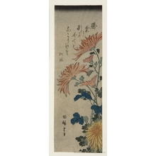 Utagawa Hiroshige: Chrysanthemums - Honolulu Museum of Art