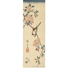 Utagawa Hiroshige: Sparrow on Branch of Cherry Blossoms - Honolulu Museum of Art