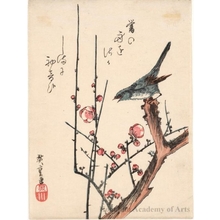 歌川広重: Nithgtingale and Plum Blossoms - ホノルル美術館