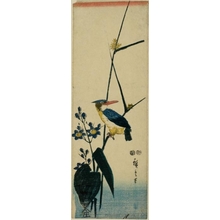 Utagawa Hiroshige: Kingfisher, Platycodon and Reeds (Descriptive Title) - Honolulu Museum of Art