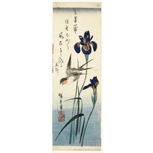 Utagawa Hiroshige: Swallow and Iris - Honolulu Museum of Art