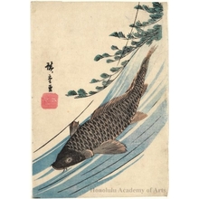 Utagawa Hiroshige: Carp and Seaweed (Descriptive Title) - Honolulu Museum of Art