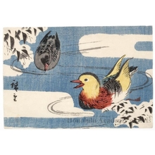 Utagawa Hiroshige: Mandarin Ducks - Honolulu Museum of Art