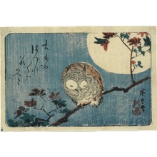歌川広重: Owl on Maple Branch with Full Moon (descriptive title) - ホノルル美術館