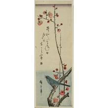 Utagawa Hiroshige: Nightingale on Plum Branch - Honolulu Museum of Art