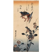 歌川広重: Kingfisher and Japanese Bellflower (Descriptive Title) - ホノルル美術館