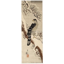Utagawa Hiroshige: Falcon on Pine Tree (descriptive title) - Honolulu Museum of Art