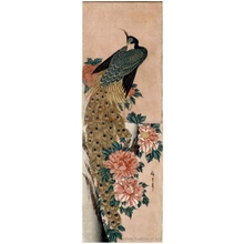 歌川広重: Peacock and Peonies - ホノルル美術館