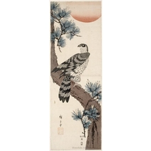 歌川広重: Falcon on Pine Branch with Rising Red Sun (descriptive title) - ホノルル美術館