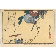 Utagawa Hiroshige: Dragonfly and morning Glory - Honolulu Museum of Art
