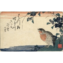 Utagawa Hiroshige: Quail under Morning Glory near Water (Descriptive Title) - Honolulu Museum of Art