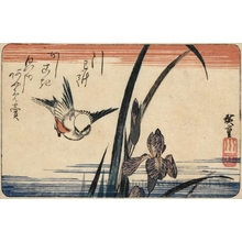 Utagawa Hiroshige: Sparrow and Purple Iris - Honolulu Museum of Art
