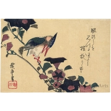 Utagawa Hiroshige: Bellflowers and Kingfisher - Honolulu Museum of Art