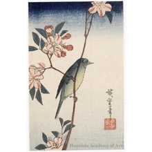 歌川広重: White-eye on Flowering Plum - ホノルル美術館