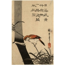 Utagawa Hiroshige: Sparrow and Bamboo - Honolulu Museum of Art