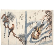 Utagawa Hiroshige: Parrot on a Pine Branch / Mandarin Ducks in a Stream - Honolulu Museum of Art