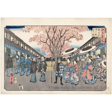 歌川広重: Cherry Blossom Time at Shinyoshiwara Nakanochö - ホノルル美術館