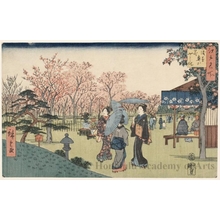 Utagawa Hiroshige: Okuyama Flower Garden, Asakusa - Honolulu Museum of Art