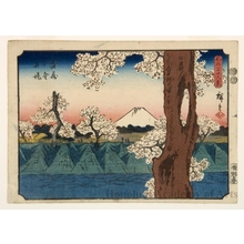 Utagawa Hiroshige: The Embankment at Koganei in Musashi Province - Honolulu Museum of Art