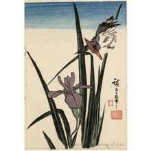 Utagawa Hiroshige: Kingfisher and Iris (descriptive title) - Honolulu Museum of Art