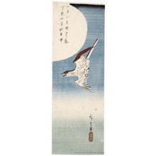 Utagawa Hiroshige: Cuckoo and Moon (descriptive title) - Honolulu Museum of Art