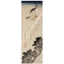 Utagawa Hiroshige: A Cuckoo Flying through the Rain - Honolulu Museum of Art