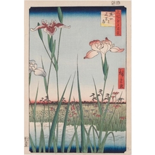 Utagawa Hiroshige, 歌川広重 (Utagawa Hiroshige)による浮世絵「Horikiri Iris Garden」