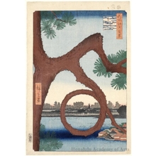 Utagawa Hiroshige: Moon Pine, Ueno - Honolulu Museum of Art