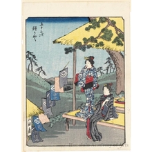 Utagawa Hiroshige: Hodogaya (Station #5) - Honolulu Museum of Art