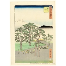 Utagawa Hiroshige: Mt. Fuji at the Left from the Pine Forest of Nanki near Fujisawa (Station #7) - Honolulu Museum of Art