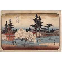 歌川広重: Töeizan Kanei-ji at Ueno - ホノルル美術館