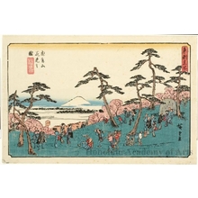 Utagawa Hiroshige: Fllower Viewing at Asuka Mountain - Honolulu Museum of Art