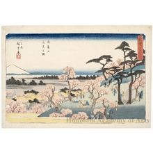 Utagawa Hiroshige: Flower Viewing on Mt. Asuka - Honolulu Museum of Art