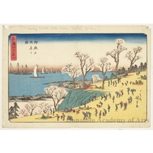 Japanese Print "Flowers in Full Bloom at Gotenyama" by Utagawa Hiroshige, 歌川広重 (Utagawa Hiroshige)