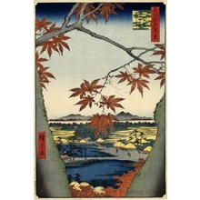 歌川広重: Maple Trees at Mama, Tekona Shrine and Linked Bridge - ホノルル美術館