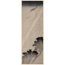 Utagawa Hiroshige: A Cuckoo Flying through the Rain - Honolulu Museum of Art