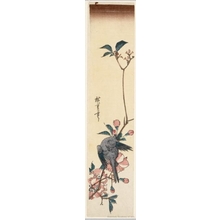 Utagawa Hiroshige: Bird on Cherry Branch (Descriptive Title) - Honolulu Museum of Art