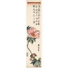 Utagawa Hiroshige: Red Hibiscus - Honolulu Museum of Art