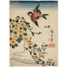 Utagawa Hiroshige: Sparrow and Japanese Roses (Descriptive Title) - Honolulu Museum of Art